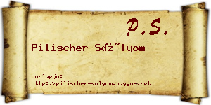 Pilischer Sólyom névjegykártya